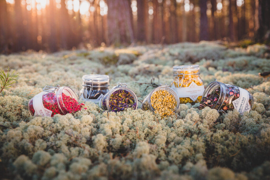 Reklaamfoto Väetee toodetega Häädemeeste männimetsas