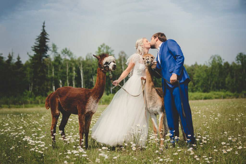 parim pulmafotograaf, pulmapildid, maaris tölp, puust